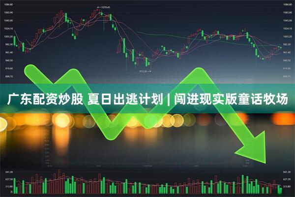 广东配资炒股 夏日出逃计划 | 闯进现实版童话牧场